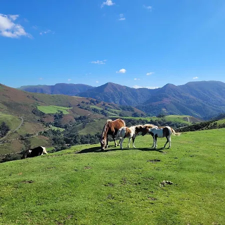 Restaurant Txistulari 3*