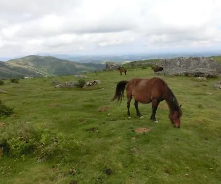 Restaurant Txistulari Itxassou