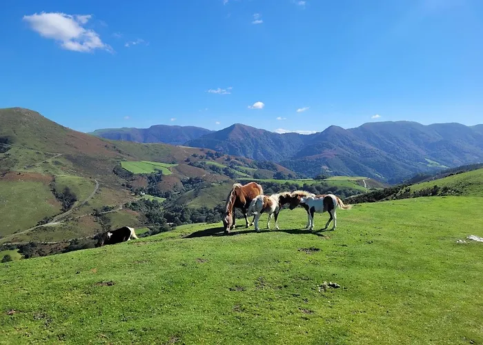 Restaurant Txistulari 3*