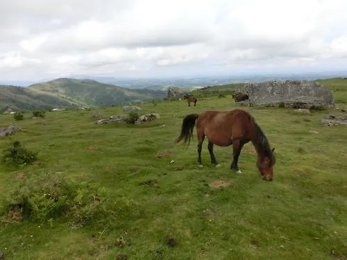 Restaurant Txistulari Itxassou